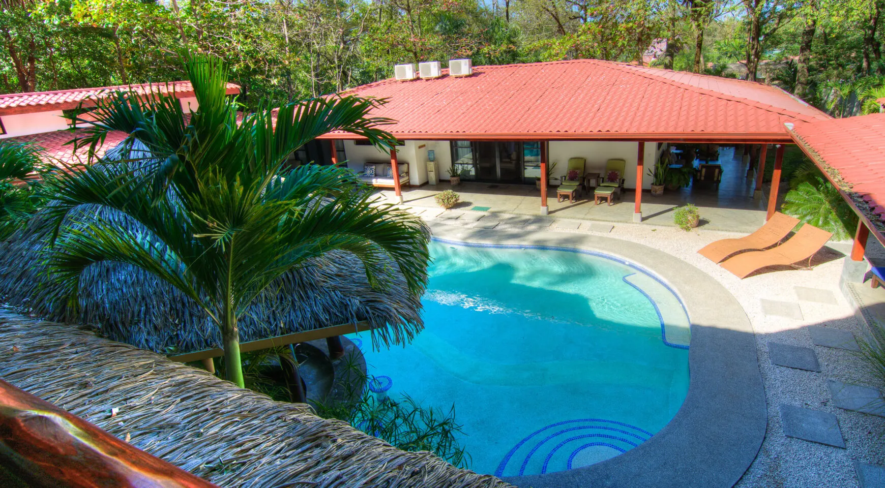 An elevated view across a thatched roof and a palm crown down onto the compound: the curved turquoise saltwater pool with blue mosaic detail, the terracotta-tiled guest wing beyond it, a covered terrace with green chairs and orange loungers on the deck.