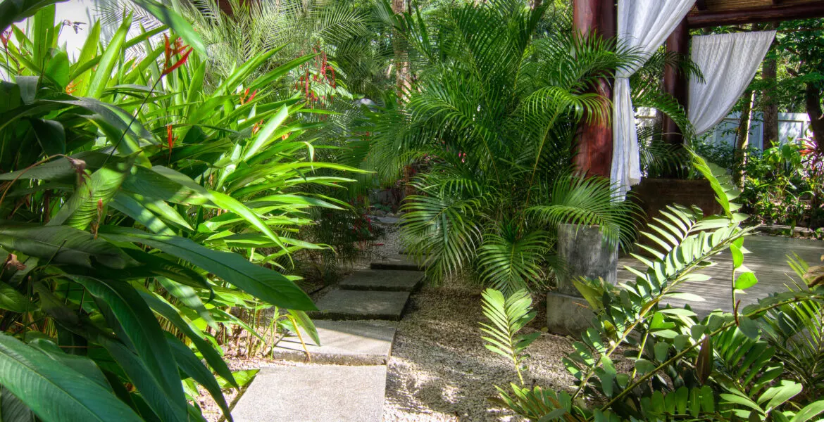 A stepping-stone path winding through heliconia and palms toward the meditation pavilion's timber post and white curtain at right.